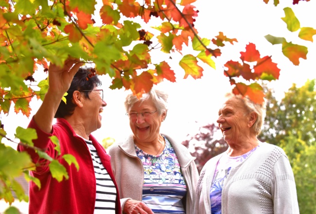 Drei Bewohnerinnen des St. Bonifacius Wohn- und Pflegeheim Unna vor einem Baum, die gemeinsam miteinander lachen